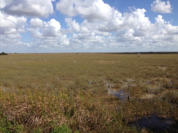 Pa-hay-okee Overlook