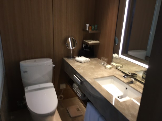 kyoto-hilton-bathroom-1
